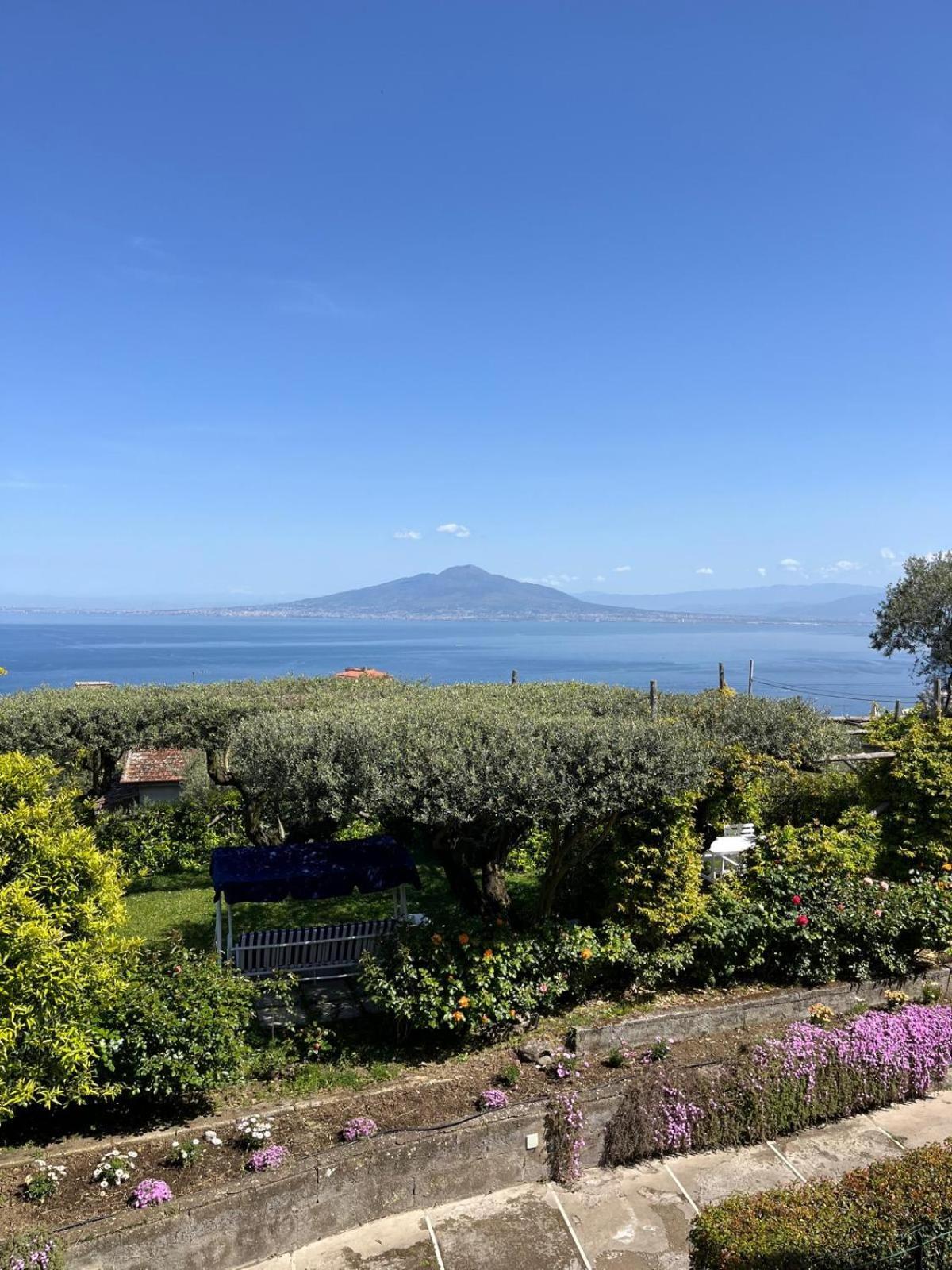 Affittacamere Olive Tree Garden Sorrento