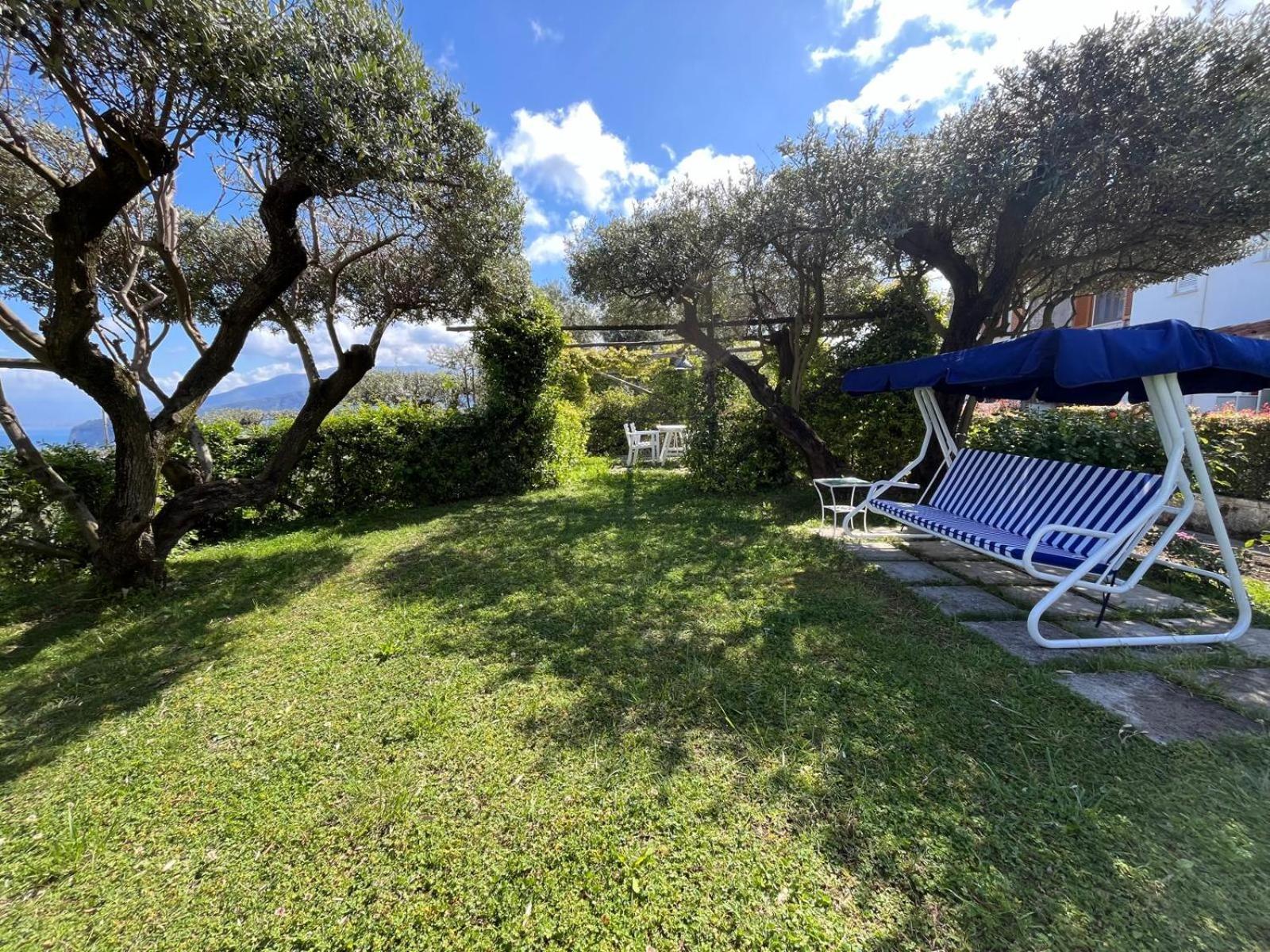 Olive Tree Garden Affittacamere Sorrento