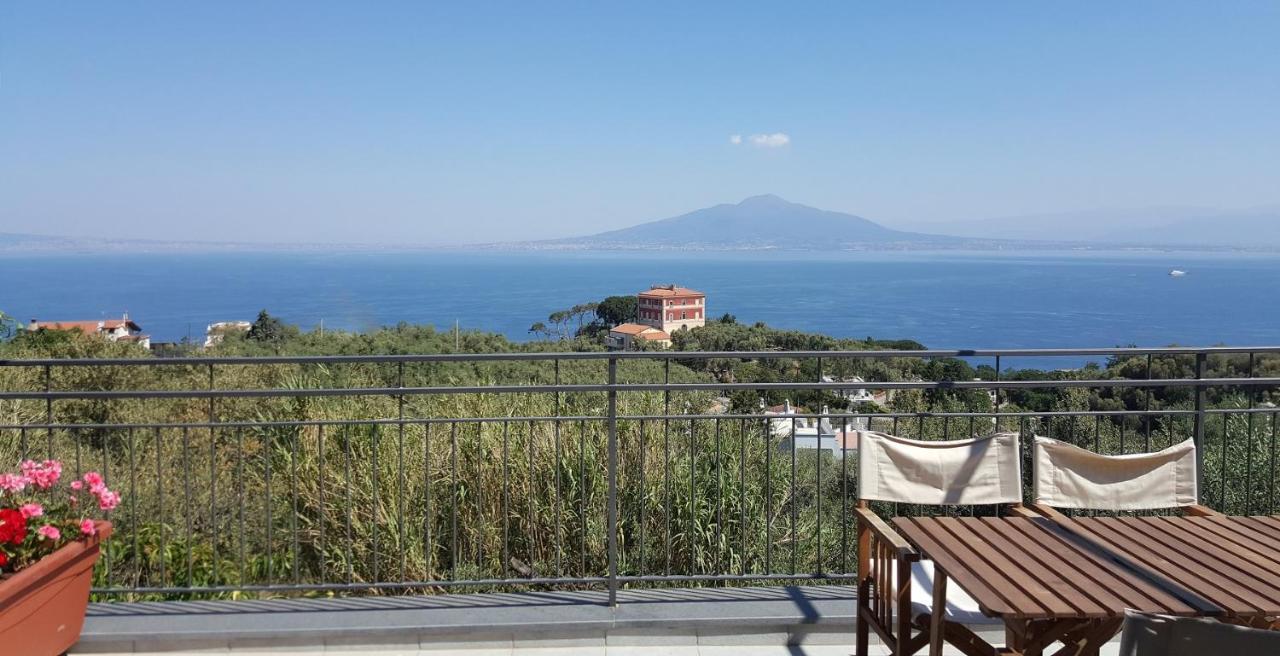 Olive Tree Garden Affittacamere Sorrento