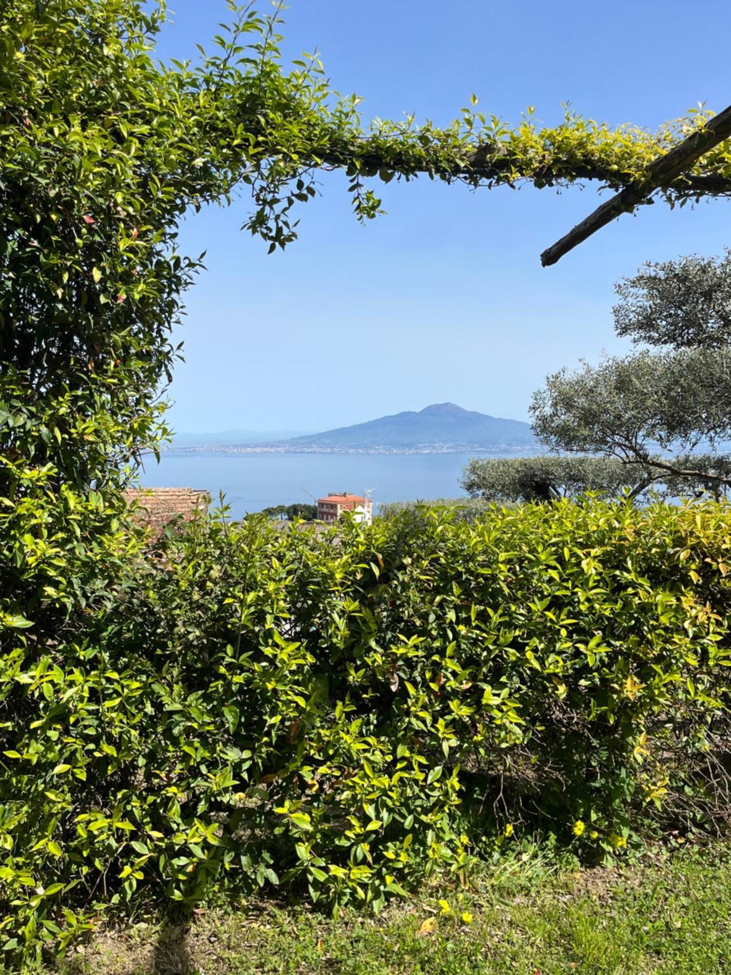 Affittacamere Olive Tree Garden Sorrento